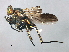  ( - PROBE-TW0147)  @14 [ ] CreativeCommons - Attribution (2009) Unspecified Centre for Biodiversity Genomics