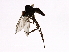 ( - PROBE-TW0320)  @13 [ ] CreativeCommons - Attribution (2009) Unspecified Centre for Biodiversity Genomics