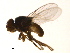  ( - PROBE-TW0339)  @13 [ ] CreativeCommons - Attribution (2009) Unspecified Centre for Biodiversity Genomics