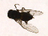  ( - PROBE-TW0350)  @12 [ ] CreativeCommons - Attribution (2009) Unspecified Centre for Biodiversity Genomics