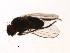  ( - PROBE-TW0351)  @12 [ ] CreativeCommons - Attribution (2009) Unspecified Centre for Biodiversity Genomics