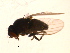  ( - PROBE-TW0353)  @13 [ ] CreativeCommons - Attribution (2009) Unspecified Centre for Biodiversity Genomics