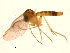  ( - PROBE-TW0355)  @13 [ ] CreativeCommons - Attribution (2009) Unspecified Centre for Biodiversity Genomics