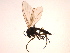  ( - PROBE-TW0364)  @12 [ ] CreativeCommons - Attribution (2009) Unspecified Centre for Biodiversity Genomics