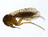  ( - PROBE-TW0382)  @12 [ ] CreativeCommons - Attribution (2009) Unspecified Centre for Biodiversity Genomics