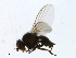  ( - PROBE-TW0386)  @12 [ ] CreativeCommons - Attribution (2009) Unspecified Centre for Biodiversity Genomics
