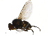  ( - PROBE-TW0389)  @13 [ ] CreativeCommons - Attribution (2009) Unspecified Centre for Biodiversity Genomics