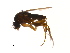 ( - PROBE-TW0392)  @13 [ ] CreativeCommons - Attribution (2009) Unspecified Centre for Biodiversity Genomics