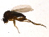  ( - PROBE-TW0393)  @12 [ ] CreativeCommons - Attribution (2009) Unspecified Centre for Biodiversity Genomics