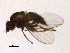  ( - PROBE-TW0405)  @12 [ ] CreativeCommons - Attribution (2009) Unspecified Centre for Biodiversity Genomics