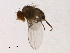  ( - PROBE-TW0408)  @12 [ ] CreativeCommons - Attribution (2009) Unspecified Centre for Biodiversity Genomics