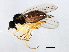  ( - MTDIC-0026)  @13 [ ] CreativeCommons - Attribution (2009) Unspecified Centre for Biodiversity Genomics
