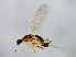  ( - MTDIC-0030)  @13 [ ] CreativeCommons - Attribution (2009) Unspecified Centre for Biodiversity Genomics