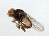  ( - MTDIC-0034)  @13 [ ] CreativeCommons - Attribution (2009) Unspecified Centre for Biodiversity Genomics