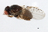  ( - MTDIC-0036)  @12 [ ] CreativeCommons - Attribution (2009) Unspecified Centre for Biodiversity Genomics