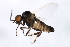  ( - MTDIC-0041)  @13 [ ] CreativeCommons - Attribution (2009) Unspecified Centre for Biodiversity Genomics