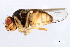 ( - MTDIC-0042)  @13 [ ] CreativeCommons - Attribution (2009) Unspecified Centre for Biodiversity Genomics