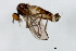  ( - MTDIC-0054)  @12 [ ] CreativeCommons - Attribution (2009) Unspecified Centre for Biodiversity Genomics