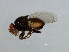  ( - MTDIC-0069)  @12 [ ] CreativeCommons - Attribution (2009) Unspecified Centre for Biodiversity Genomics