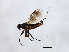  ( - MTDIC-0085)  @12 [ ] CreativeCommons - Attribution (2009) Unspecified Centre for Biodiversity Genomics