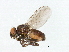 ( - MTDIC-0089)  @13 [ ] CreativeCommons - Attribution (2009) Unspecified Centre for Biodiversity Genomics