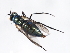  ( - MTDIC-0179)  @13 [ ] CreativeCommons - Attribution (2009) Unspecified Centre for Biodiversity Genomics