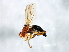  ( - MTDIC-0194)  @13 [ ] CreativeCommons - Attribution (2009) Unspecified Centre for Biodiversity Genomics