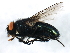  ( - MTDIC-0197)  @13 [ ] CreativeCommons - Attribution (2009) Unspecified Centre for Biodiversity Genomics