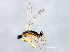  ( - MTDIC-0200)  @13 [ ] CreativeCommons - Attribution (2009) Unspecified Centre for Biodiversity Genomics