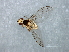  ( - MTDIC-0227)  @12 [ ] CreativeCommons - Attribution (2009) Unspecified Centre for Biodiversity Genomics