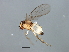  ( - MTDIC-0240)  @12 [ ] CreativeCommons - Attribution (2009) Unspecified Centre for Biodiversity Genomics