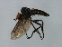  ( - MTDIC-0244)  @13 [ ] CreativeCommons - Attribution (2009) Unspecified Centre for Biodiversity Genomics