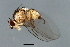  ( - MTDIC-0250)  @12 [ ] CreativeCommons - Attribution (2009) Unspecified Centre for Biodiversity Genomics