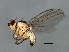  ( - MTDIC-0260)  @14 [ ] CreativeCommons - Attribution (2009) Unspecified Centre for Biodiversity Genomics