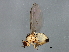  ( - MTDIC-0262)  @13 [ ] CreativeCommons - Attribution (2009) Unspecified Centre for Biodiversity Genomics