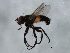  ( - MTDIC-0265)  @12 [ ] CreativeCommons - Attribution (2009) Unspecified Centre for Biodiversity Genomics