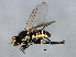  ( - MTDIC-0274)  @12 [ ] CreativeCommons - Attribution (2009) Unspecified Centre for Biodiversity Genomics