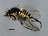  ( - MTDIC-0275)  @14 [ ] CreativeCommons - Attribution (2009) Unspecified Centre for Biodiversity Genomics