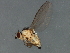  ( - MTDIC-0282)  @13 [ ] CreativeCommons - Attribution (2009) Unspecified Centre for Biodiversity Genomics