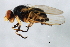  ( - PROBE-TW0105)  @13 [ ] CreativeCommons - Attribution (2009) Unspecified Centre for Biodiversity Genomics