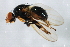  ( - PROBE-TW0106)  @13 [ ] CreativeCommons - Attribution (2009) Unspecified Centre for Biodiversity Genomics