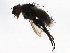  ( - PROBE-TW0309)  @12 [ ] CreativeCommons - Attribution (2009) Unspecified Centre for Biodiversity Genomics