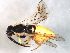  ( - 07PROBE-4257)  @13 [ ] CreativeCommons - Attribution (2009) Unspecified Centre for Biodiversity Genomics