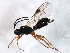  ( - 06PROBE-1151)  @13 [ ] CreativeCommons - Attribution (2009) Unspecified Centre for Biodiversity Genomics