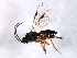  ( - 06PROBE-1152)  @13 [ ] CreativeCommons - Attribution (2009) Unspecified Centre for Biodiversity Genomics