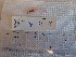  ( - 9B_TAC_38)  @11 [ ] CC - Attribution Non-Commercial Share-Alike (2022) Catherine Stevens University of Victoria