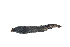  ( - TxExDU0040-1)  @11 [ ] CreativeCommons - Attribution Share-Alike (2019) Unspecified Taxon Expeditions B.V.