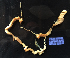  ( - TxExDU0040-2)  @11 [ ] CreativeCommons - Attribution Share-Alike (2019) Unspecified Taxon Expeditions B.V.