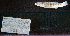  ( - Stn-149)  @11 [ ] CreativeCommons - Attribution Share-Alike (2025) Kevin W Conway Texas A&M University, College Station