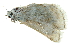  ( - BIOUG13574-A04)  @12 [ ] CreativeCommons - Attribution (2015) CBG Photography Group Centre for Biodiversity Genomics